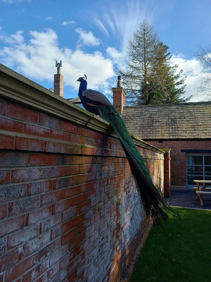 The West Wing At Eriviat Hall Hot Tub Henllan  Dış mekan fotoğraf
